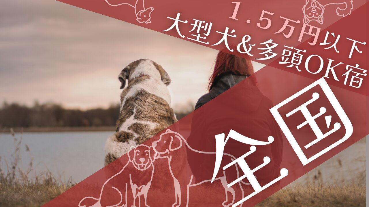 #大型犬&多頭OK